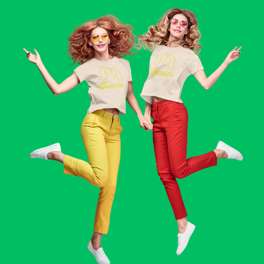 Gemini Zodiac Facts Tee