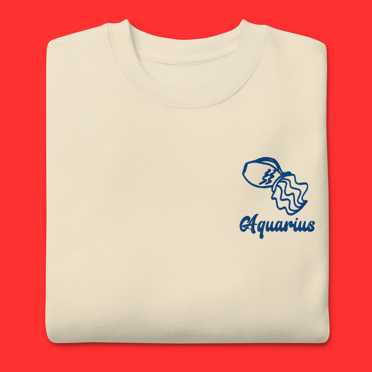 Aquarius Embroidered Sweatshirt