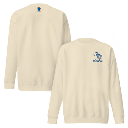 Aquarius Embroidered Sweatshirt