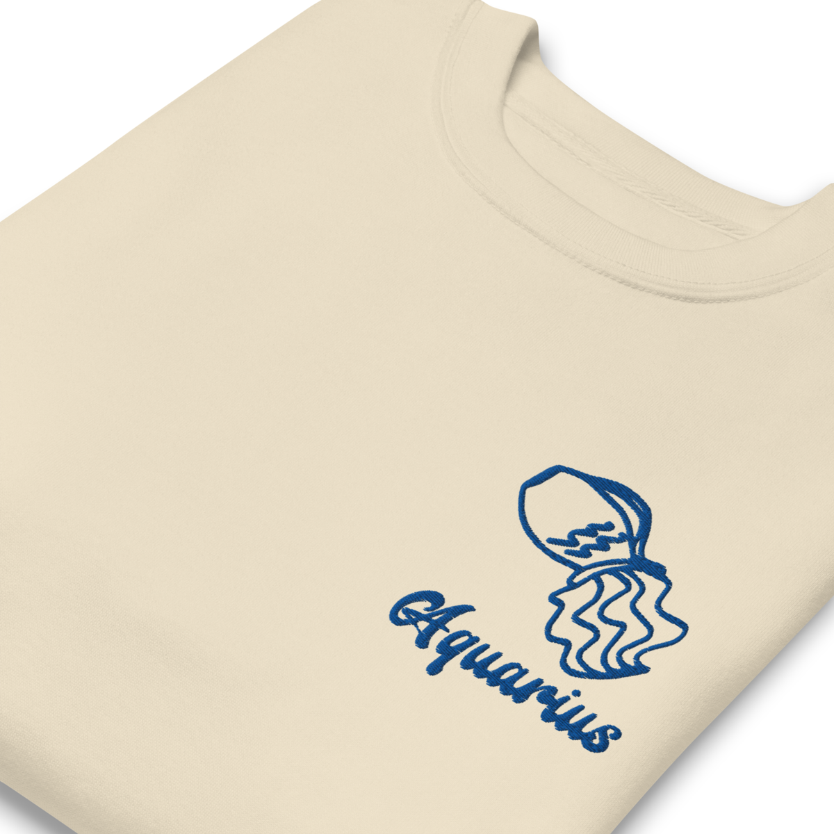 Aquarius Embroidered Sweatshirt