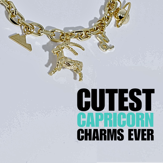Capricorn Zodiac Charm Bracelet