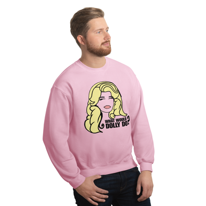 WWDD Sweatshirt