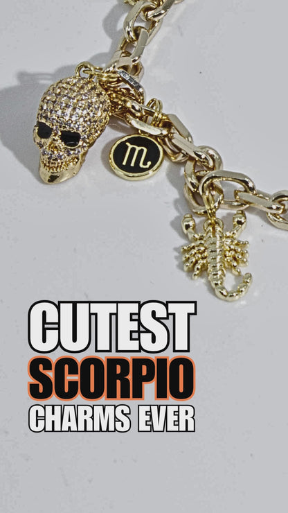 Scorpio Zodiac Charm Bracelet