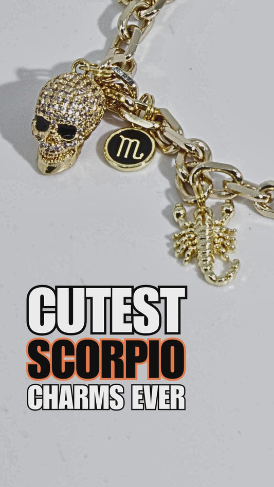 Scorpio Zodiac Charm Bracelet